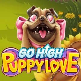 Go High Puppy Love logo – Slots by RubyPlay at N1Bet Casino